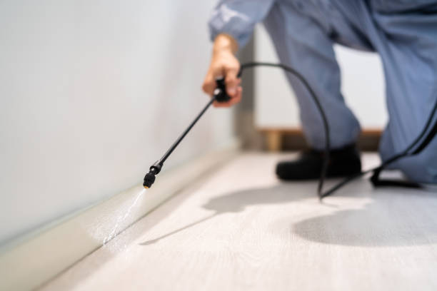 Licensed Pest Control service in West Livingston, TX - Show Me Pest Control